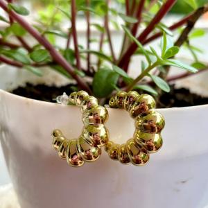 Auric Charm 2.0 Anti-Tarnish Earrings